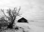Solitude