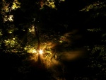 Light & Shadow 2